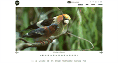 Desktop Screenshot of barraca.com.ar